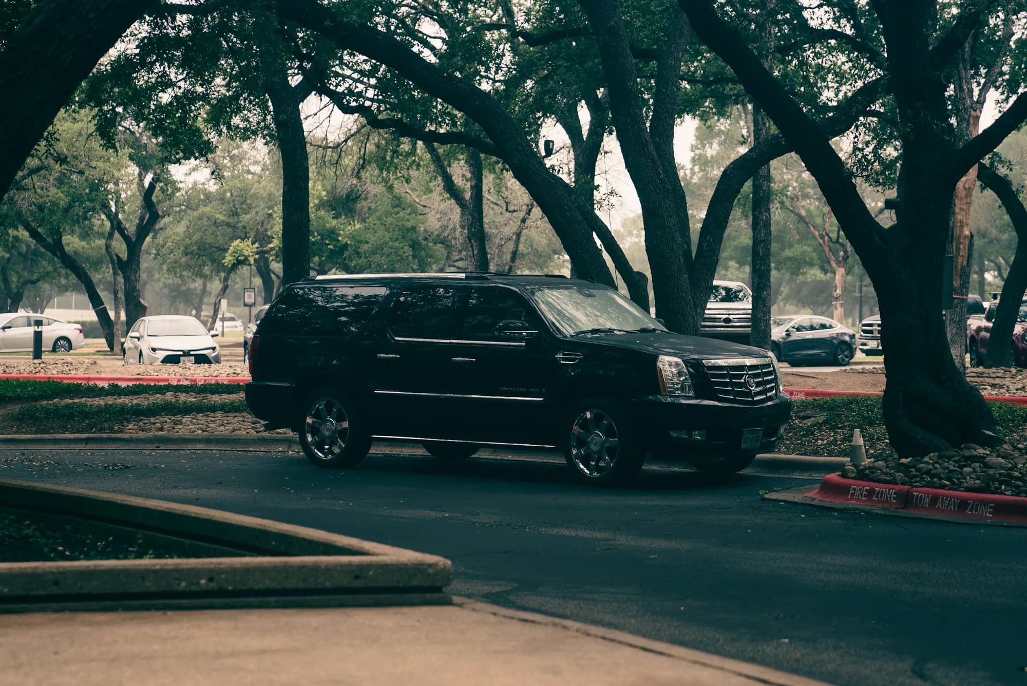 A black SUV on a tree-lined road